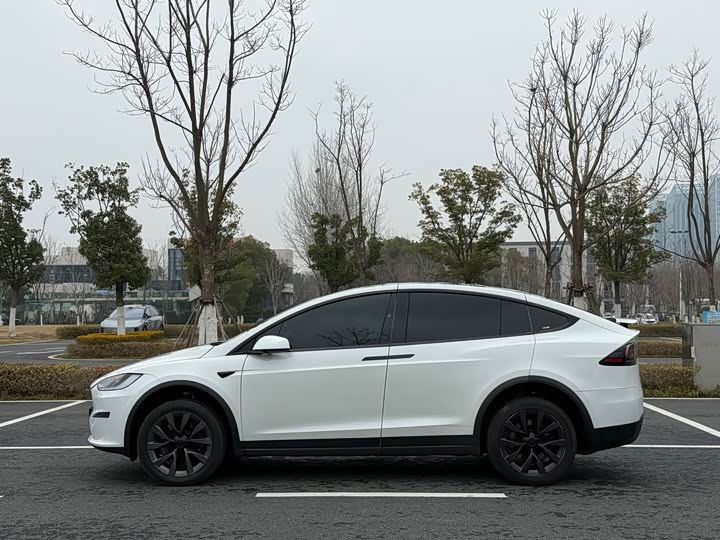 Tesla Model X 2023 2023款 双电机全轮驱动版