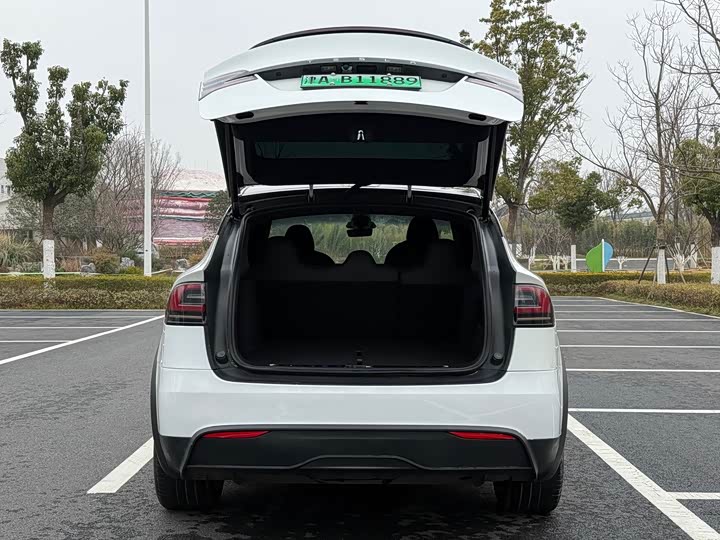 Tesla Model X 2023 2023款 双电机全轮驱动版