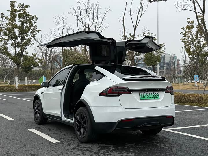 Tesla Model X 2023 2023款 双电机全轮驱动版