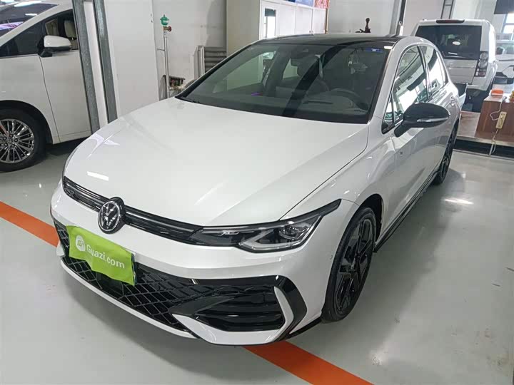 Volkswagen Golf 2025 2025款 300TSI R-Line