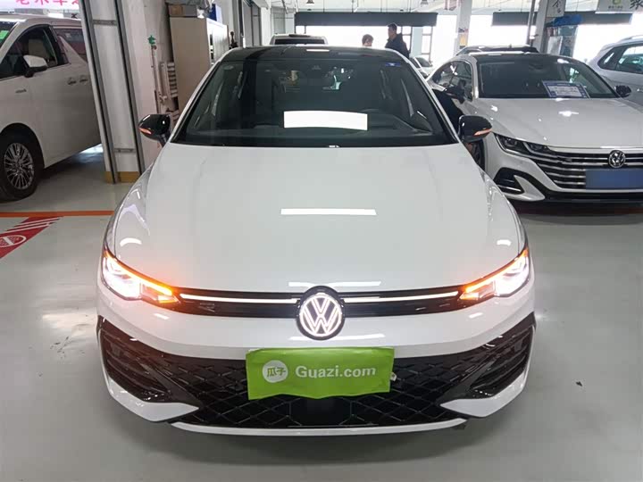 Volkswagen Golf 2025 2025款 300TSI R-Line