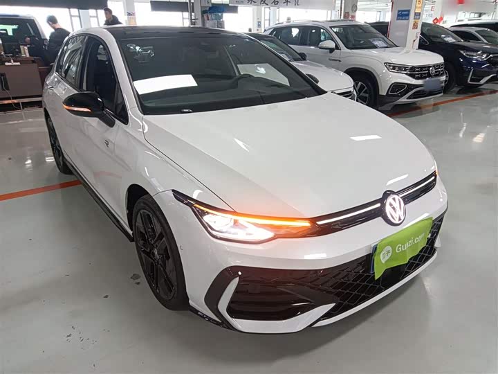 Volkswagen Golf 2025 2025款 300TSI R-Line