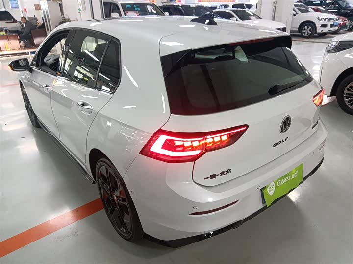 Volkswagen Golf 2025 2025款 300TSI R-Line