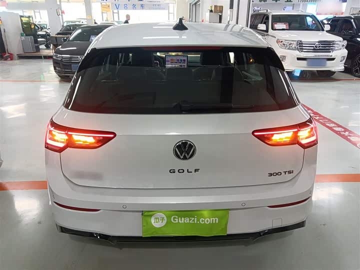 Volkswagen Golf 2025 2025款 300TSI R-Line