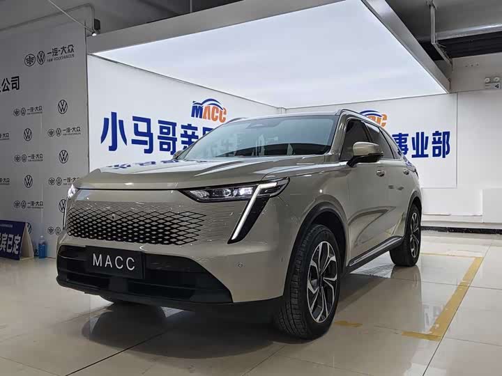Haval Ruge 2023 2023款 1.5L 110KM领动版