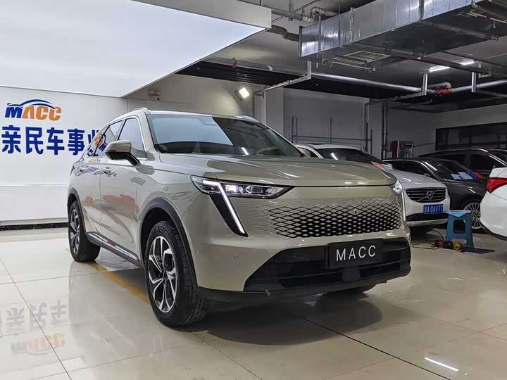 Haval Ruge 2023 2023款 1.5L 110KM领动版