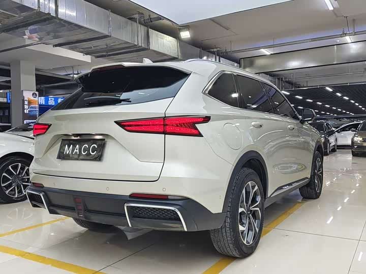 Haval Ruge 2023 2023款 1.5L 110KM领动版