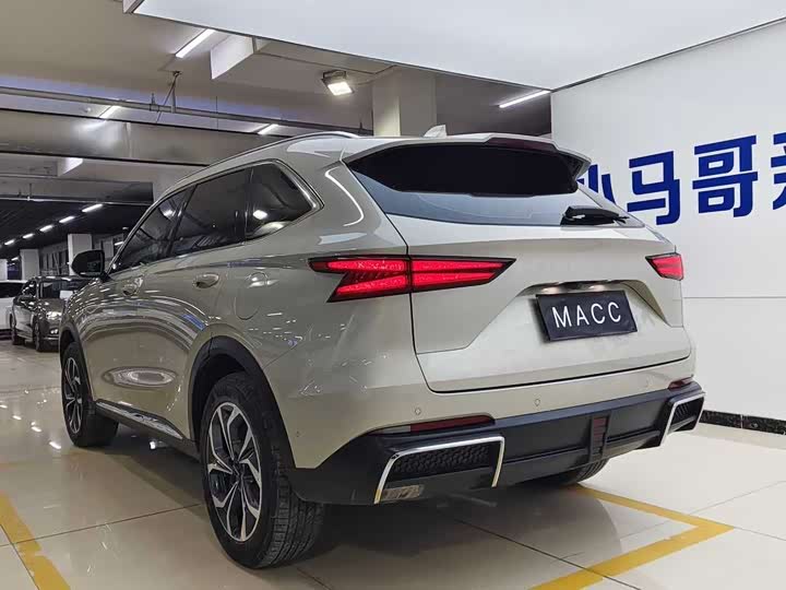 Haval Ruge 2023 2023款 1.5L 110KM领动版