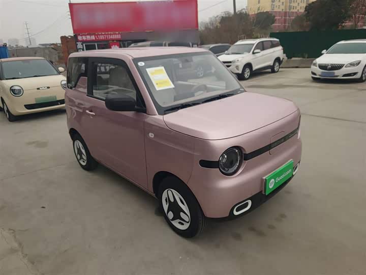 Geely Galaxy Panda Mini 2025 2025款 熊猫mini 210km 元气熊