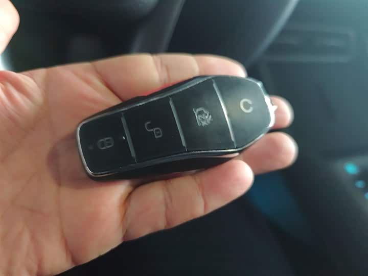 BYD Qin L 2025 2025款 DM-i 智驾版 80KM领先型