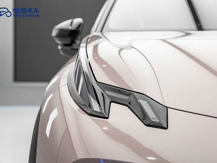 Zeekr X 2025 2025款 五座长续航版