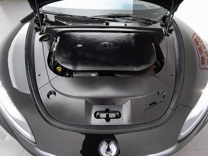 Denza Z9 2024 2024款 1100km 四驱Ultra版