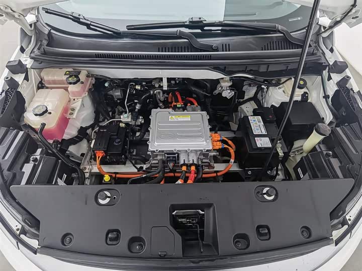 BYD Yuan Pro 2021 2021款 401KM 尊贵型