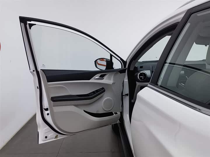 BYD Yuan Pro 2021 2021款 401KM 尊贵型