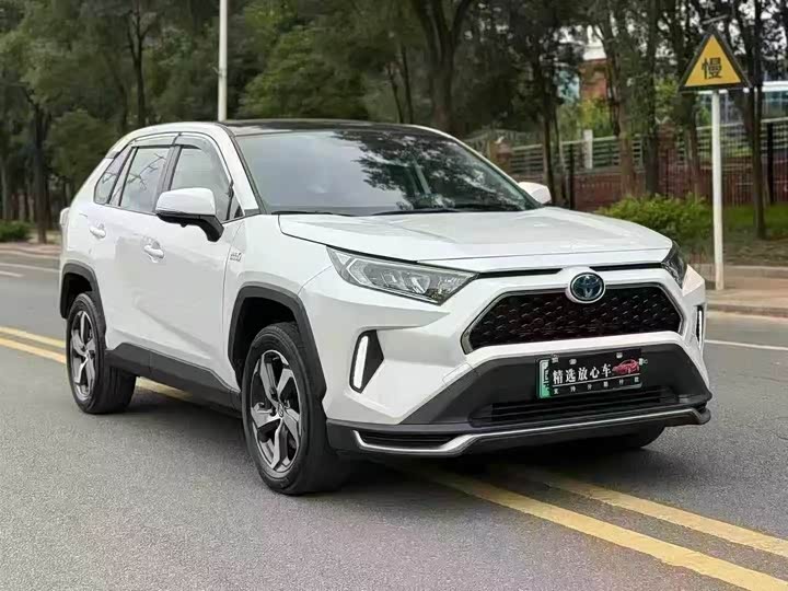 Toyota RAV4 Hybrid 2021 2021款 2.5L 两驱精英Pro