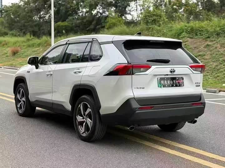 Toyota RAV4 Hybrid 2021 2021款 2.5L 两驱精英Pro