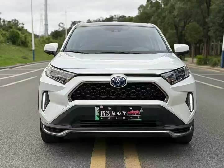 Toyota RAV4 Hybrid 2021 2021款 2.5L 两驱精英Pro