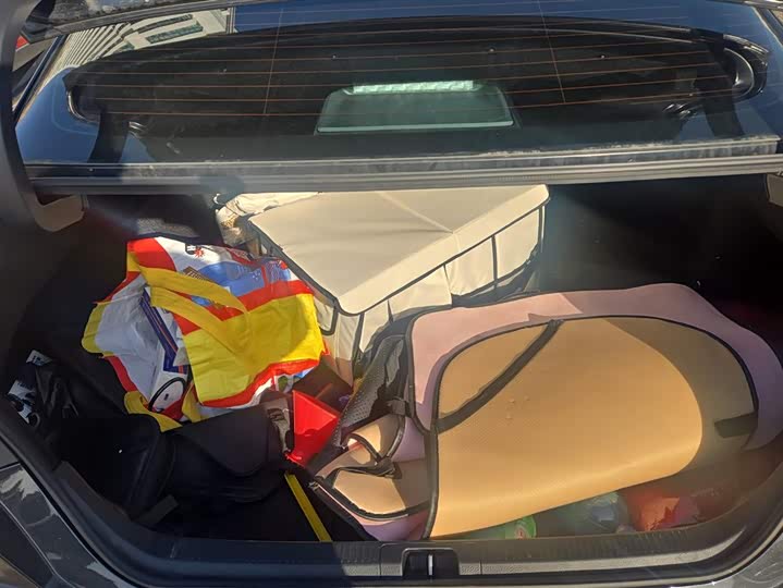 Toyota Camry 2024 2024款 双擎 2.0HE 精英版