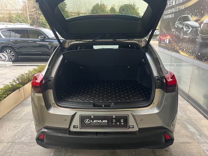 Lexus UX 2020 2020款 260h 探·趣版