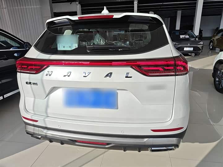 Haval H6 2025 2025款 1.5T 国潮都市版