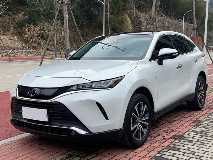Toyota Harrier 2022 2022款 2.0L CVT两驱豪华版
