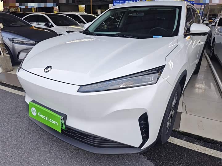 Dongfeng Aeolus Sky EV01 2024 2024款 530km PRO