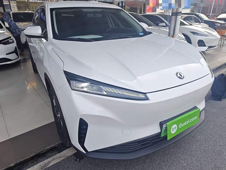 Dongfeng Aeolus Sky EV01 2024 2024款 530km PRO