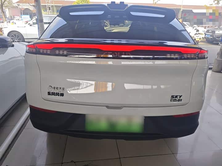 Dongfeng Aeolus Sky EV01 2024 2024款 530km PRO