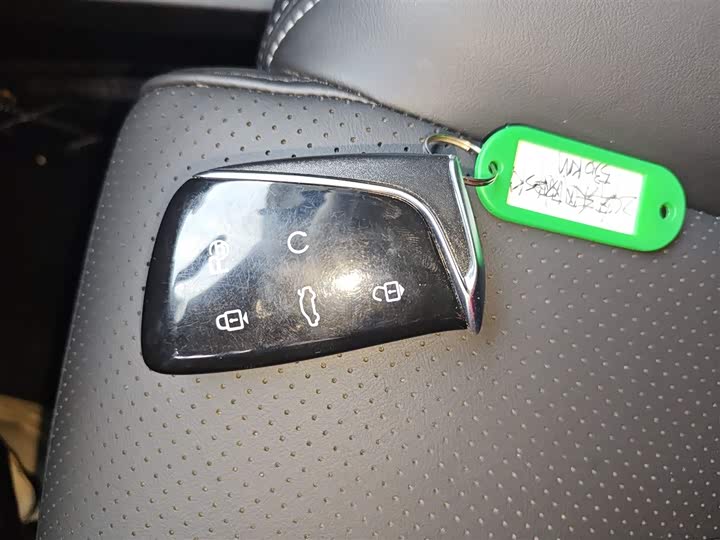 Dongfeng Aeolus Sky EV01 2024 2024款 530km PRO