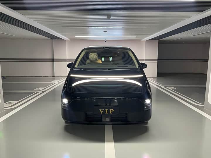 LiXiang Mega 2025 2025款 Home 家庭特别版