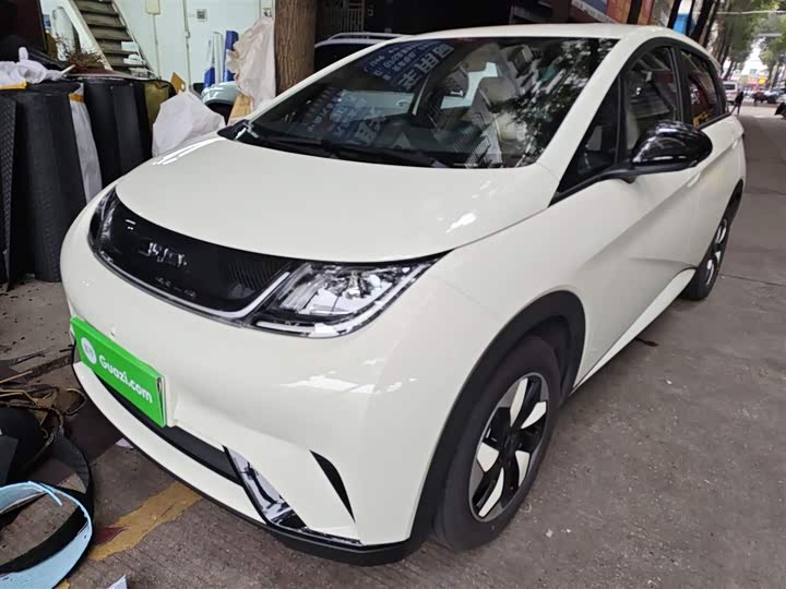 BYD Dolphin 2025 2025款 420km 自由版
