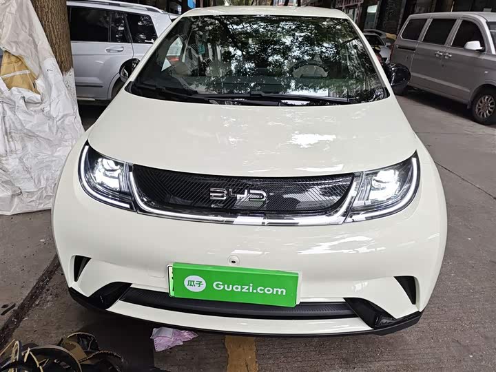 BYD Dolphin 2025 2025款 420km 自由版