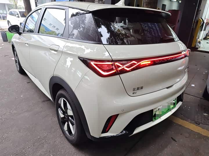BYD Dolphin 2025 2025款 420km 自由版