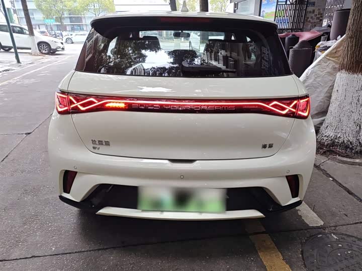 BYD Dolphin 2025 2025款 420km 自由版