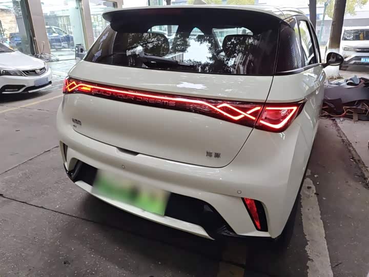 BYD Dolphin 2025 2025款 420km 自由版