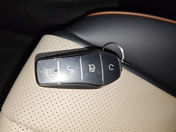 BYD Dolphin 2025 2025款 420km 自由版