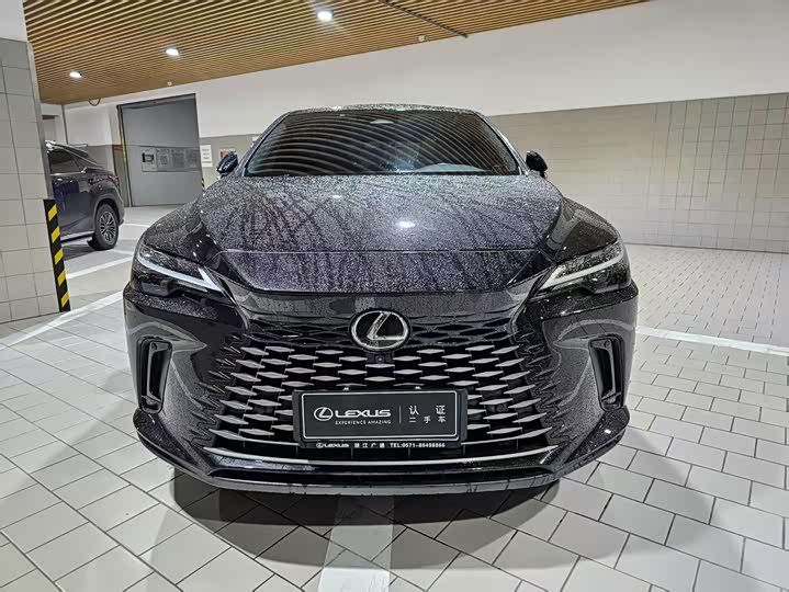 Lexus RX 2025 2025款 300 四驱骏享版
