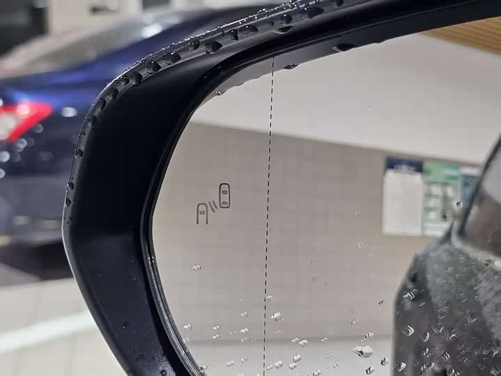 Lexus RX 2025 2025款 300 四驱骏享版