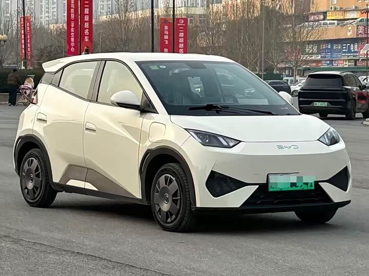 BYD Seagull 2025 2025款 305km 活力版