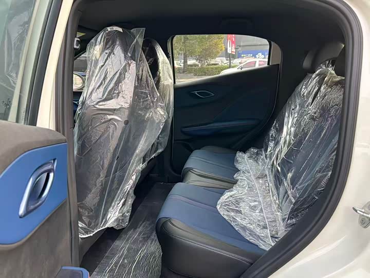 BYD Seagull 2025 2025款 305km 活力版