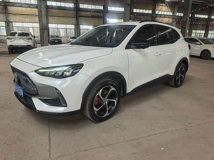 MG Motor Pilot 2021 2021款 300TGI 自动两驱燃动豪华版