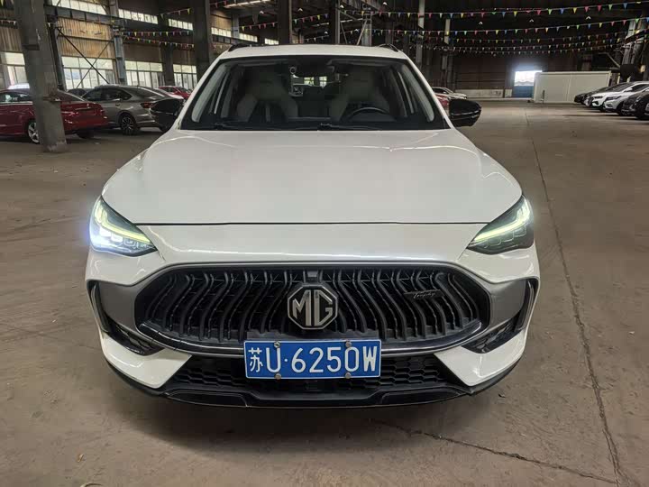 MG Motor Pilot 2021 2021款 300TGI 自动两驱燃动豪华版
