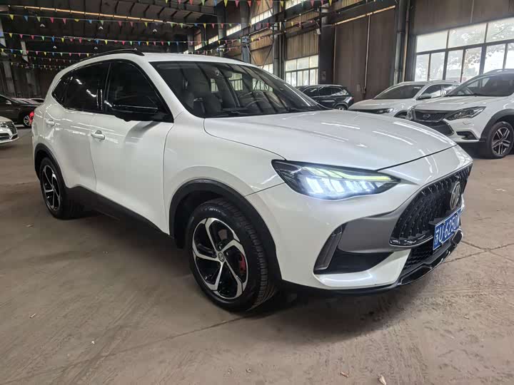 MG Motor Pilot 2021 2021款 300TGI 自动两驱燃动豪华版