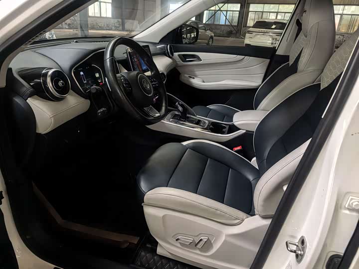 MG Motor Pilot 2021 2021款 300TGI 自动两驱燃动豪华版