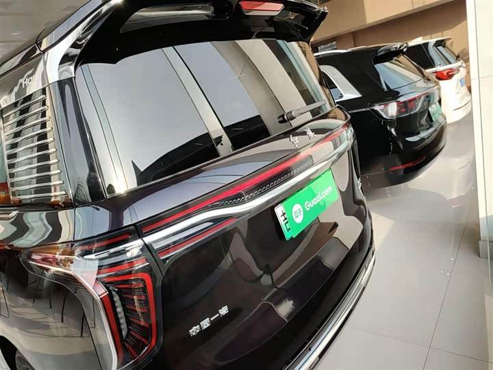 Hongqi HQ9 Hybrid 2024 2024款 2.0T 四驱商务版