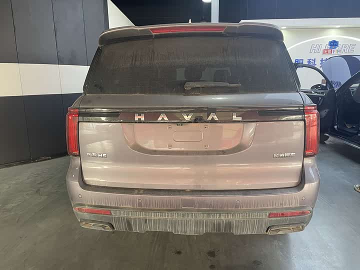 Haval H5 2023 2023款 2.0T自动四驱领英 汽油