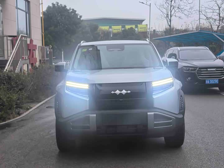 BYD FangChengBao Titanium 3 (Tai 3) 2025 2025款 501KM 后驱Pro版