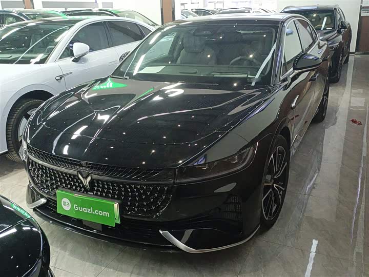 Voyah Passion 2024 2024款 PHEV 四驱超长续航旗舰版