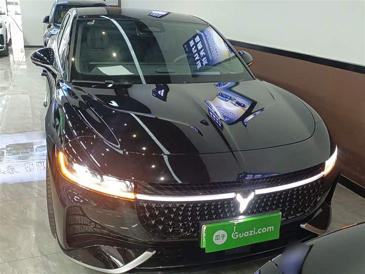 Voyah Passion 2024 2024款 PHEV 四驱超长续航旗舰版