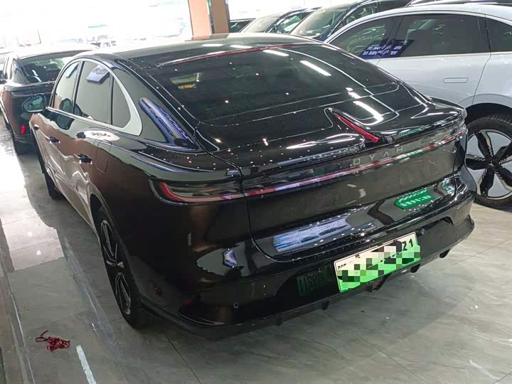 Voyah Passion 2024 2024款 PHEV 四驱超长续航旗舰版